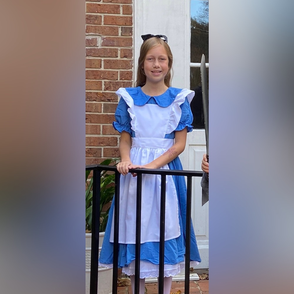Child’s Deluxe Alice in Wonderland Costume